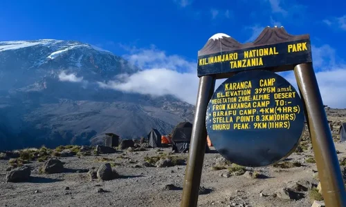 karanga-camp-feature