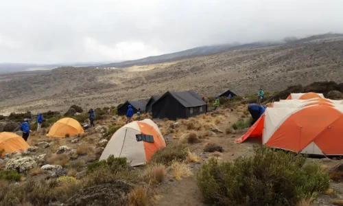 kilimanjaro-buffalo-camp-mess-tent