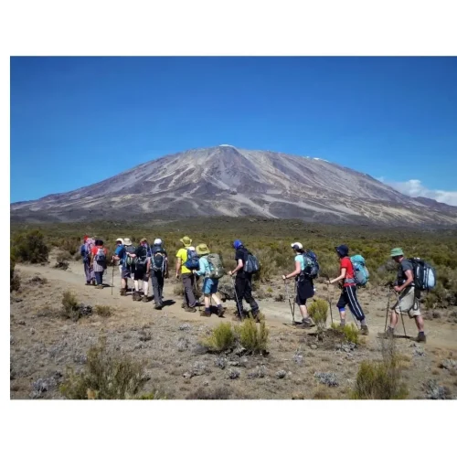 kilimanjaro-trekking-with-kiwoito-porters-team