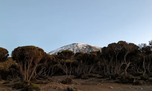 kilimanjaro-view-mweka-camp