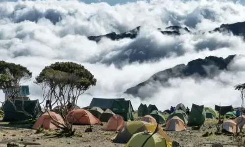 kilimanjaro trekking via umbwe route