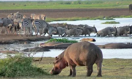 lake-manyara-national-park