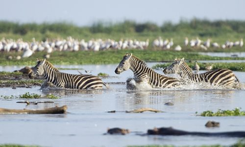 lake manyaramanyara