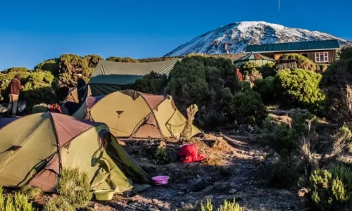 machame camp kilimanjaro