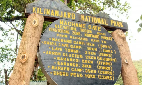 machame gate kilimanjaro climbing