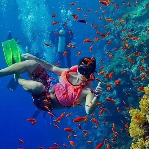 mnemba-island-snorkeling-tour