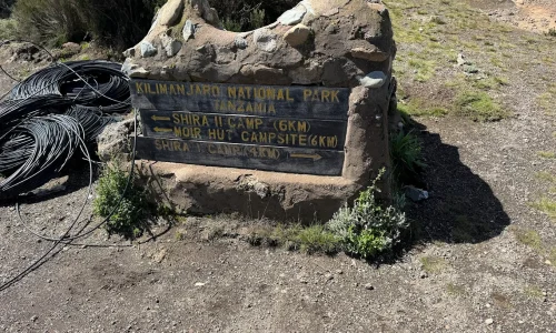 moir-hut-camp-poster-banner