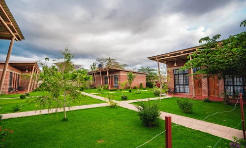 motto-cottages-garden-view