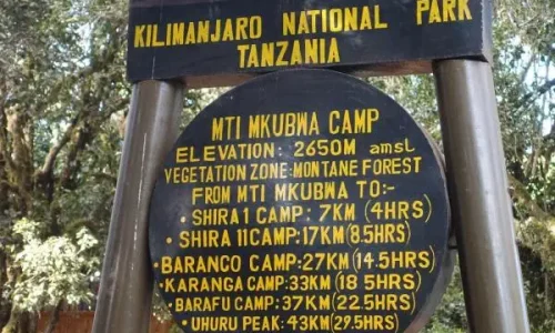 mti-mkubwa-camp