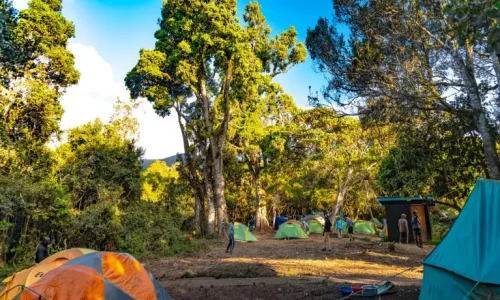 mti-mkubwa-campsite