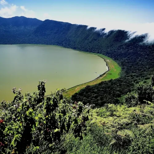 Ngorongoro Crater-aerial photo Tanzania
