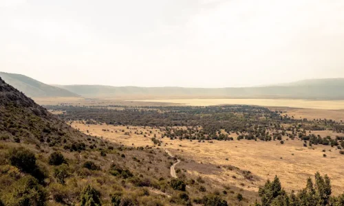ngorongoro-crater-panoramic-viewpoint