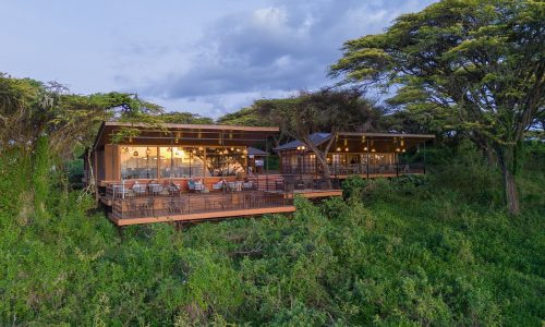 ngorongoro-lion-s-paw-view