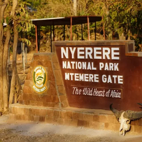 Nyerere National park-Mtemere entrance