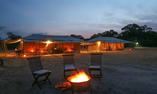 outdoor-fireplace-acacia-migration-camp