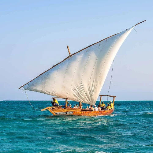 safari blue zanzibar