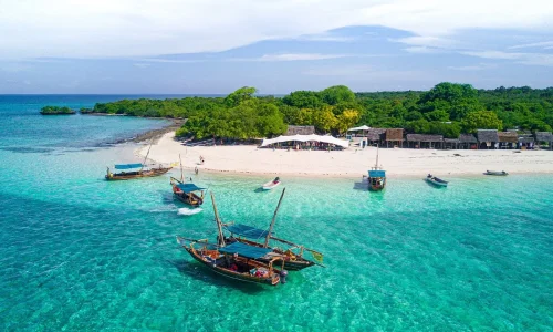 safari blue -zanzibar