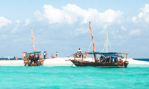 safari_blue zanzibar