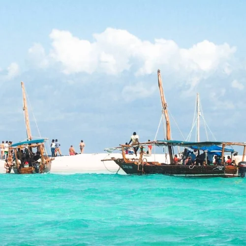safari_blue zanzibar