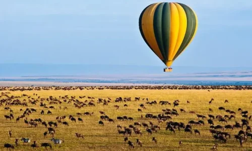 serengeti-hot-air-balloon-tour