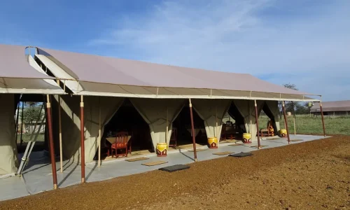 serengeti-tortilis-camp exterior view