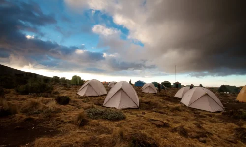 shira1-camp-tents