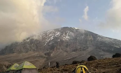 simba camp
