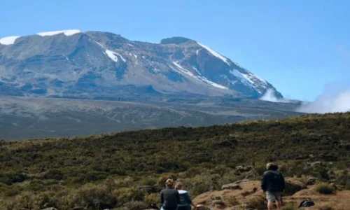 simba camp view