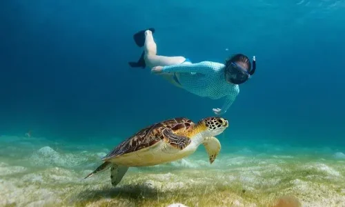 snorkeling-mnemba-atoll-zanzibar
