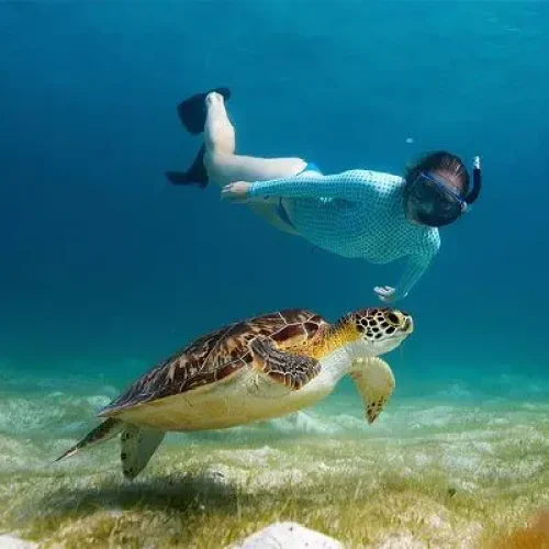 snorkeling-mnemba-atoll-zanzibar