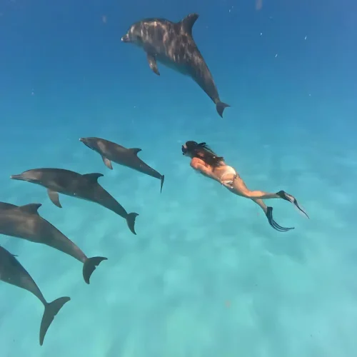 snorkeling-with-tropical-fish-zanzibar