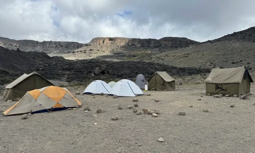 tented-campsite-moir-hut-camp