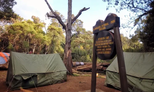 tents_at_mti_mkubwa
