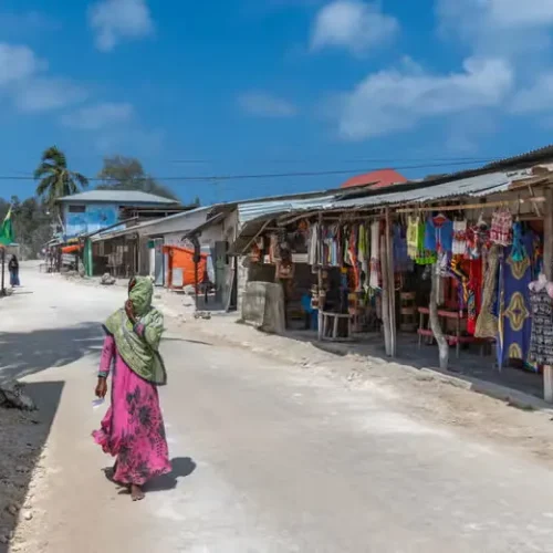 traditional-village-life-zanzibar-tanzania