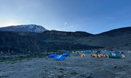 trekkers-at-moir-hut-camp