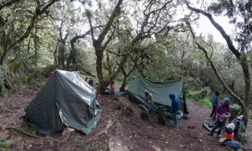 umbwe camp tents