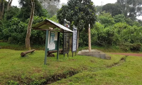 umbwe-camp-tents-view
